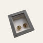 Christian Dior Petite Logo Earrings With Original Box